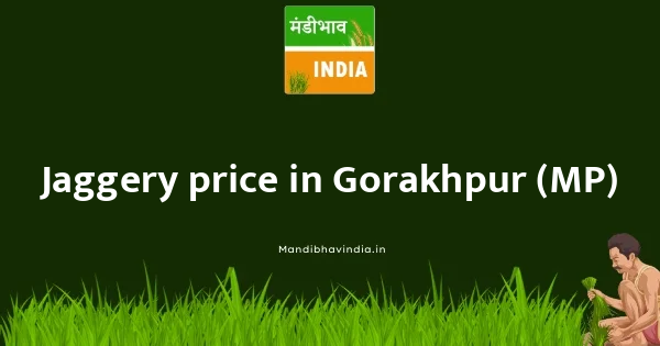 Jaggery price